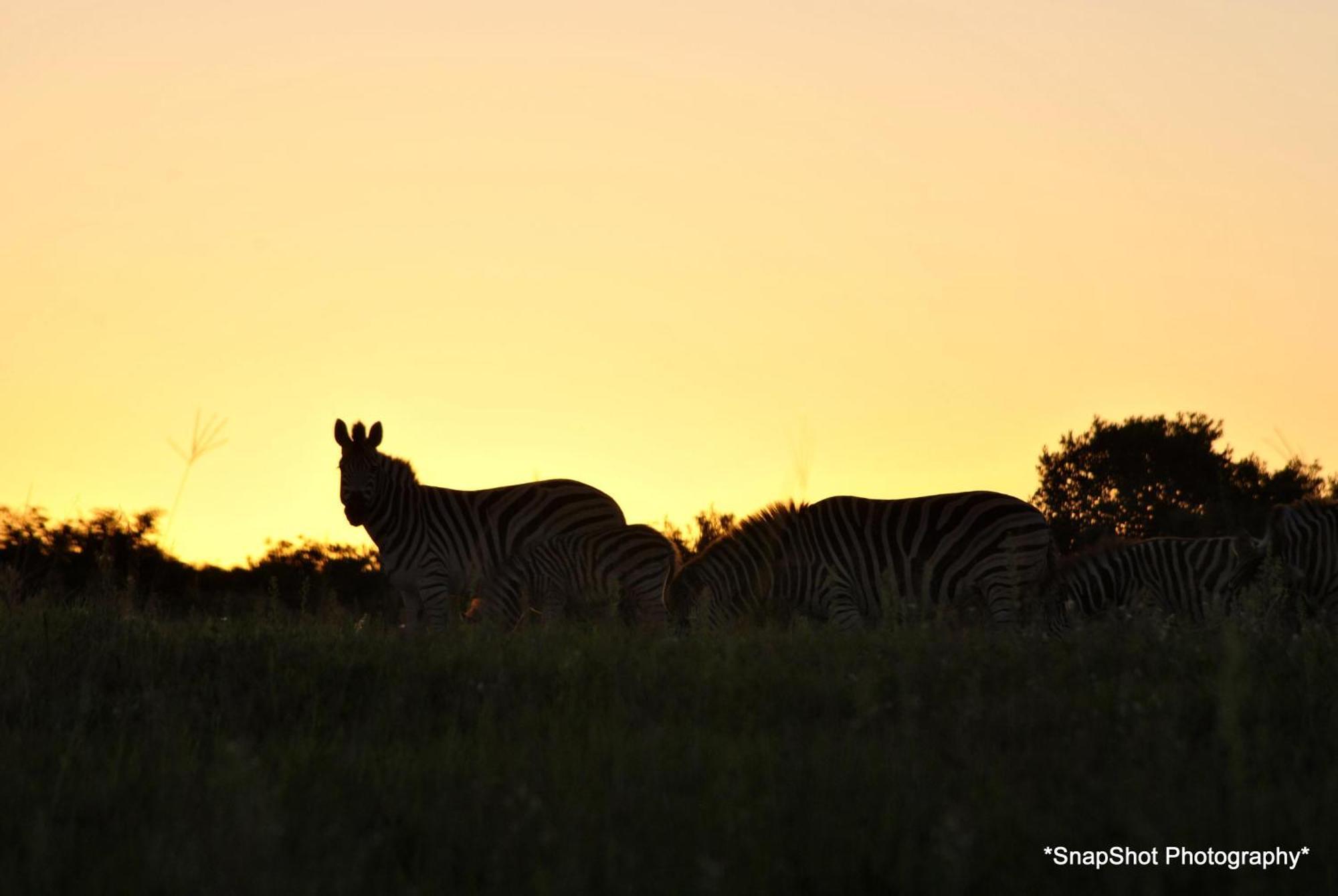 Kududu Guest House Addo Eksteriør bilde